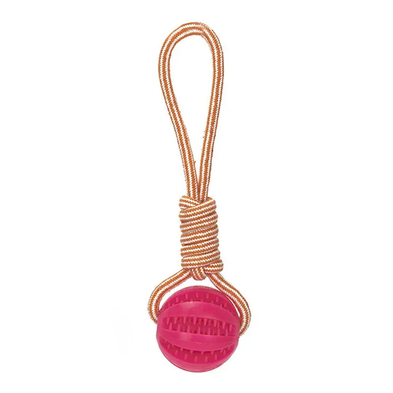 Pet Treat Ball