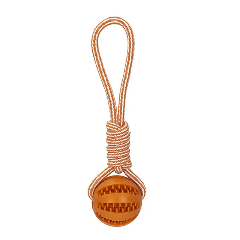 Pet Treat Ball