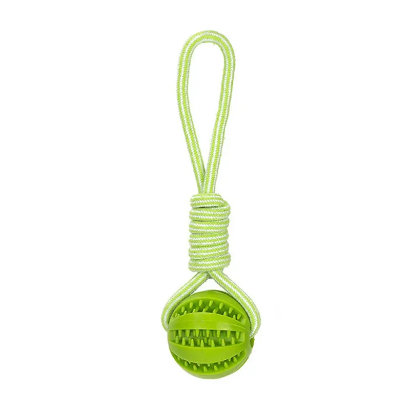 Pet Treat Ball