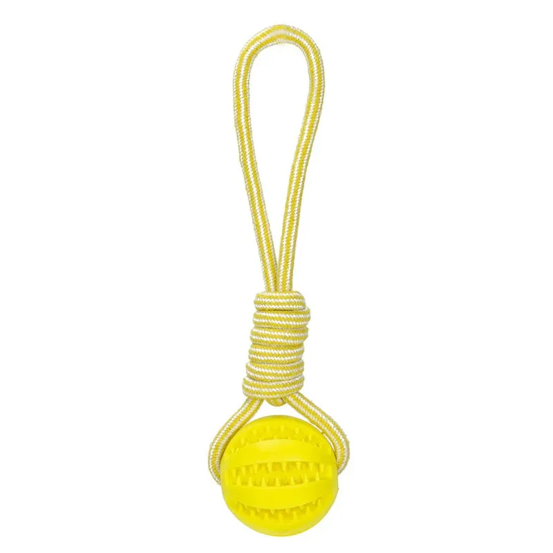 Pet Treat Ball