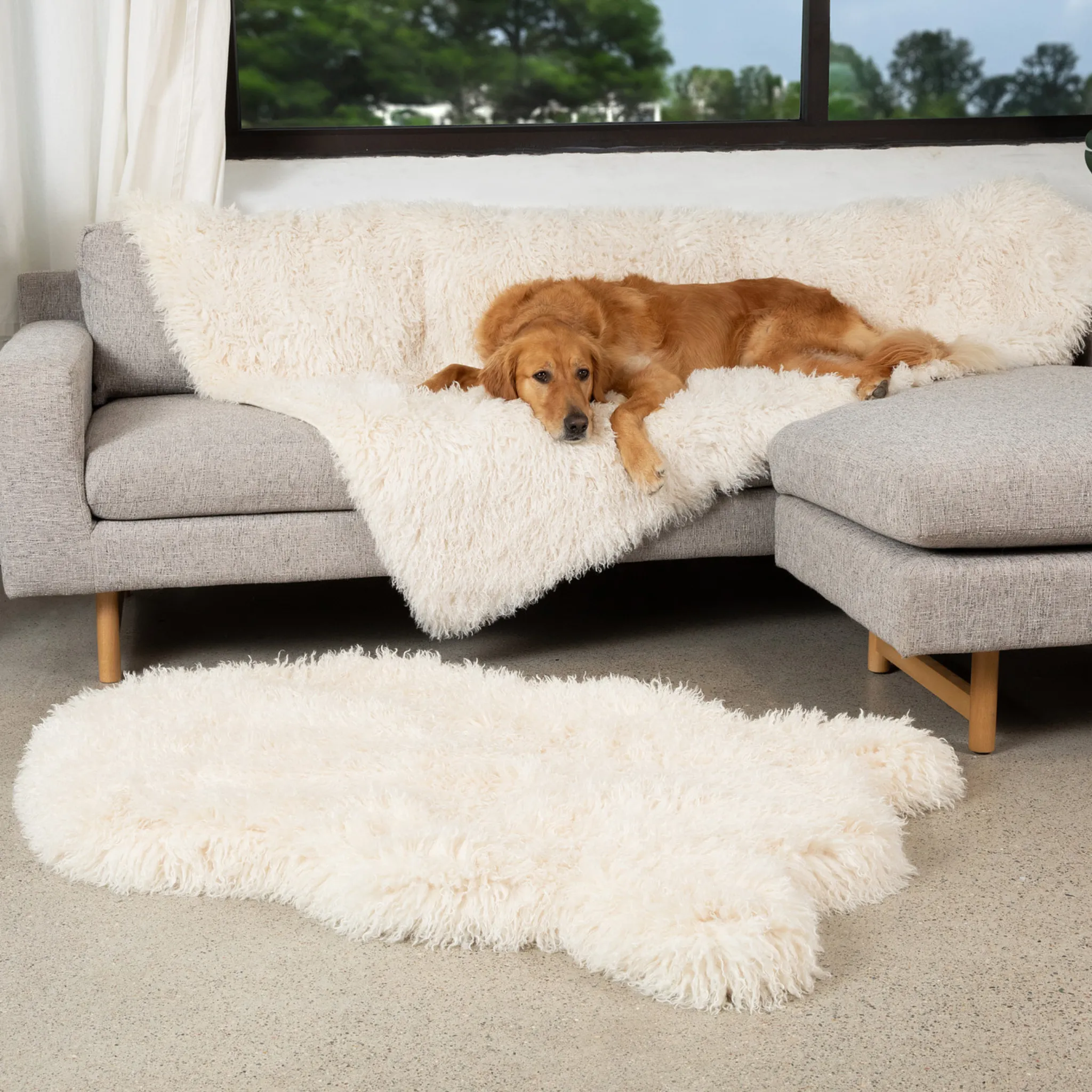 PupRug™ Luxe Orthopedic Bed   Matching Waterproof Blanket Bundle - Plush Sheep Ivory
