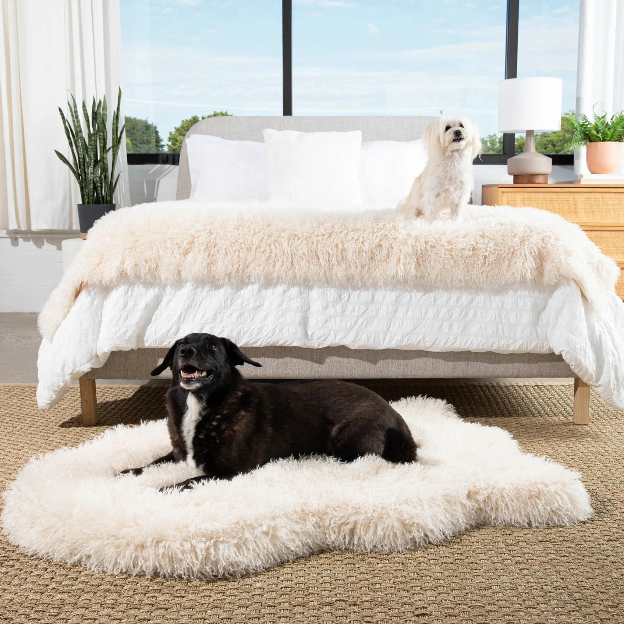 PupRug™ Luxe Orthopedic Bed   Matching Waterproof Blanket Bundle - Plush Sheep Ivory