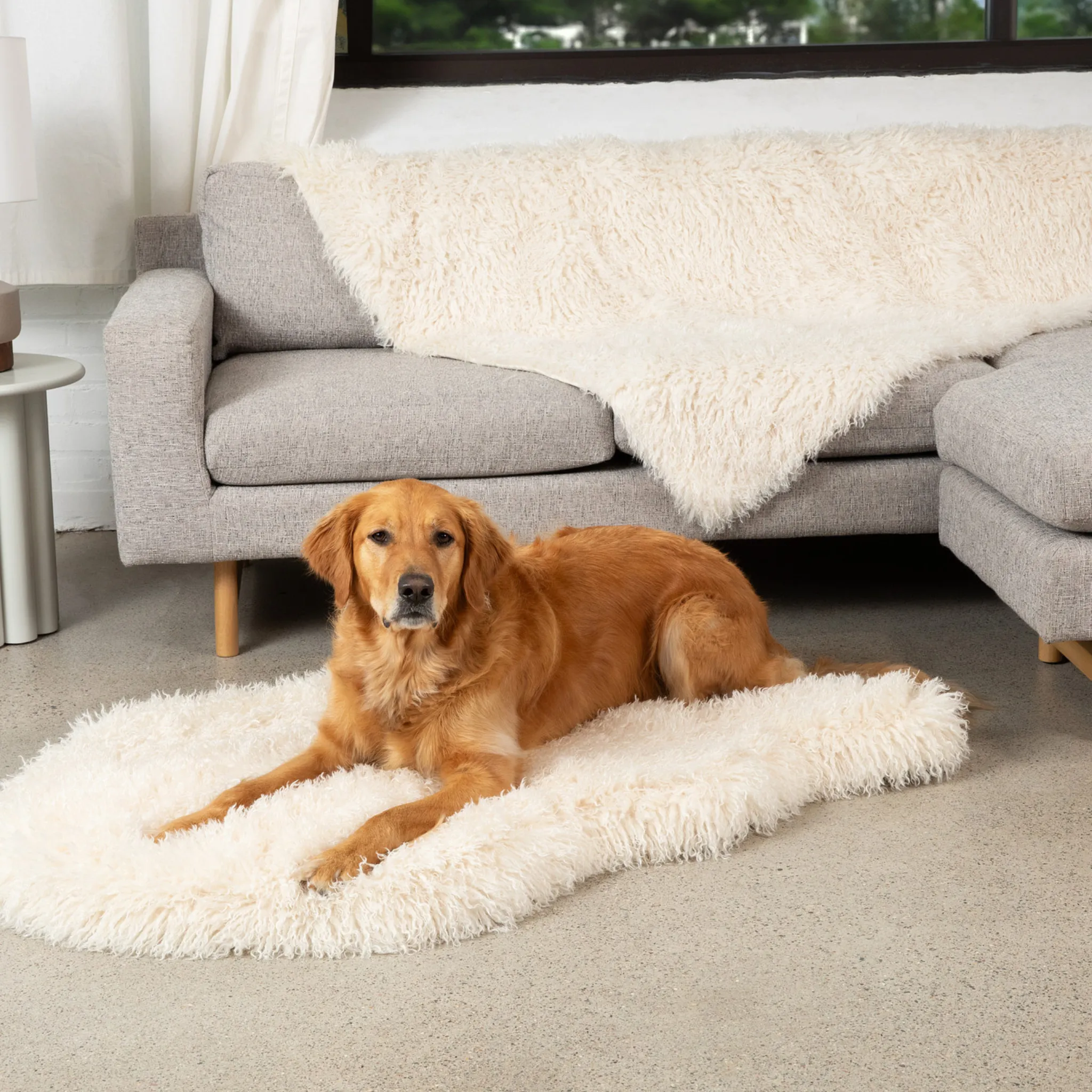 PupRug™ Luxe Orthopedic Bed   Matching Waterproof Blanket Bundle - Plush Sheep Ivory