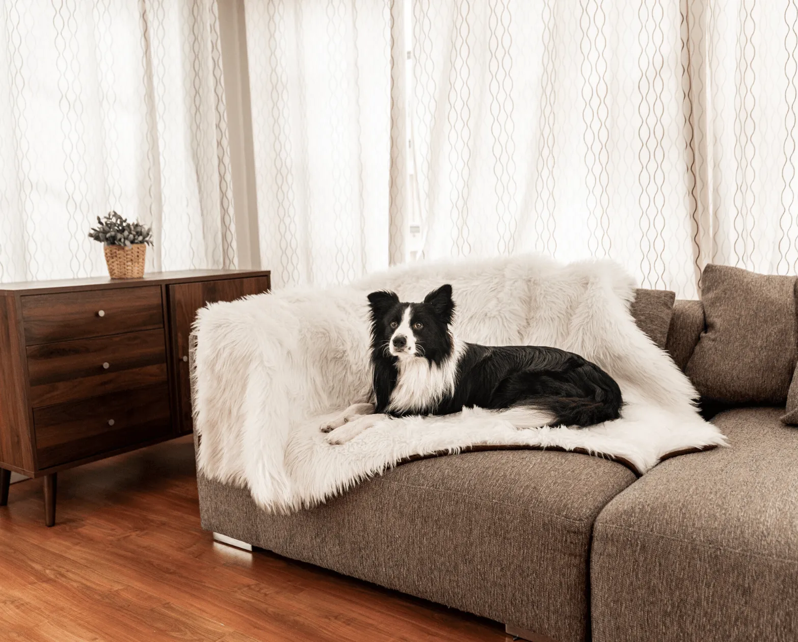 PupRug™ Orthopedic Bed   Matching Waterproof Blanket Bundle - Polar White