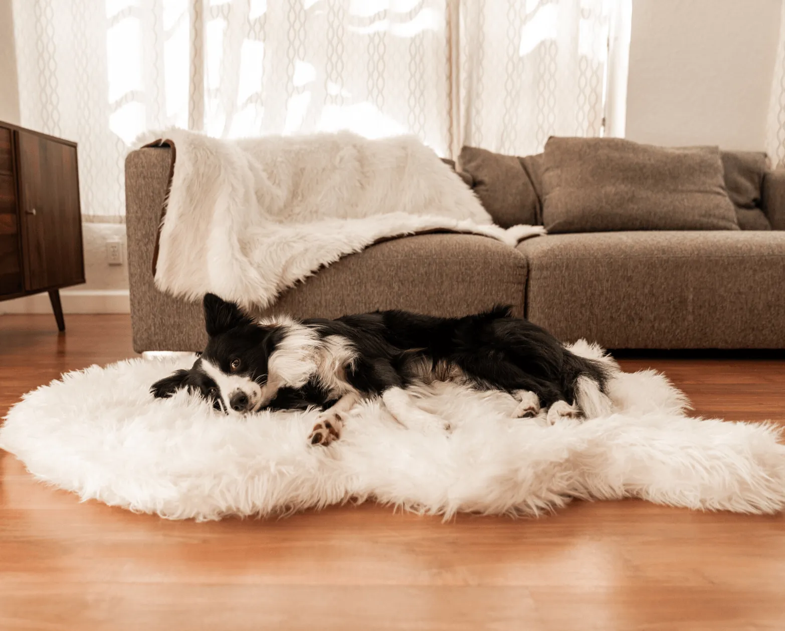 PupRug™ Orthopedic Bed   Matching Waterproof Blanket Bundle - Polar White