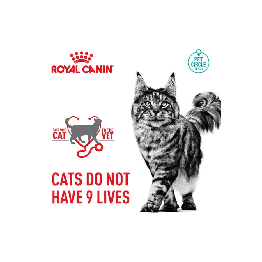 Royal Canin Maine Coon Gravy Adult Wet Cat Food 12 X 85g