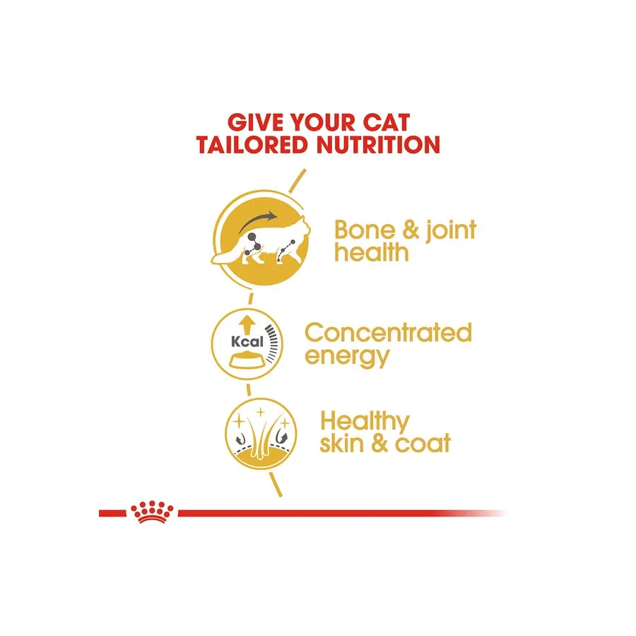 Royal Canin Maine Coon Gravy Adult Wet Cat Food 12 X 85g