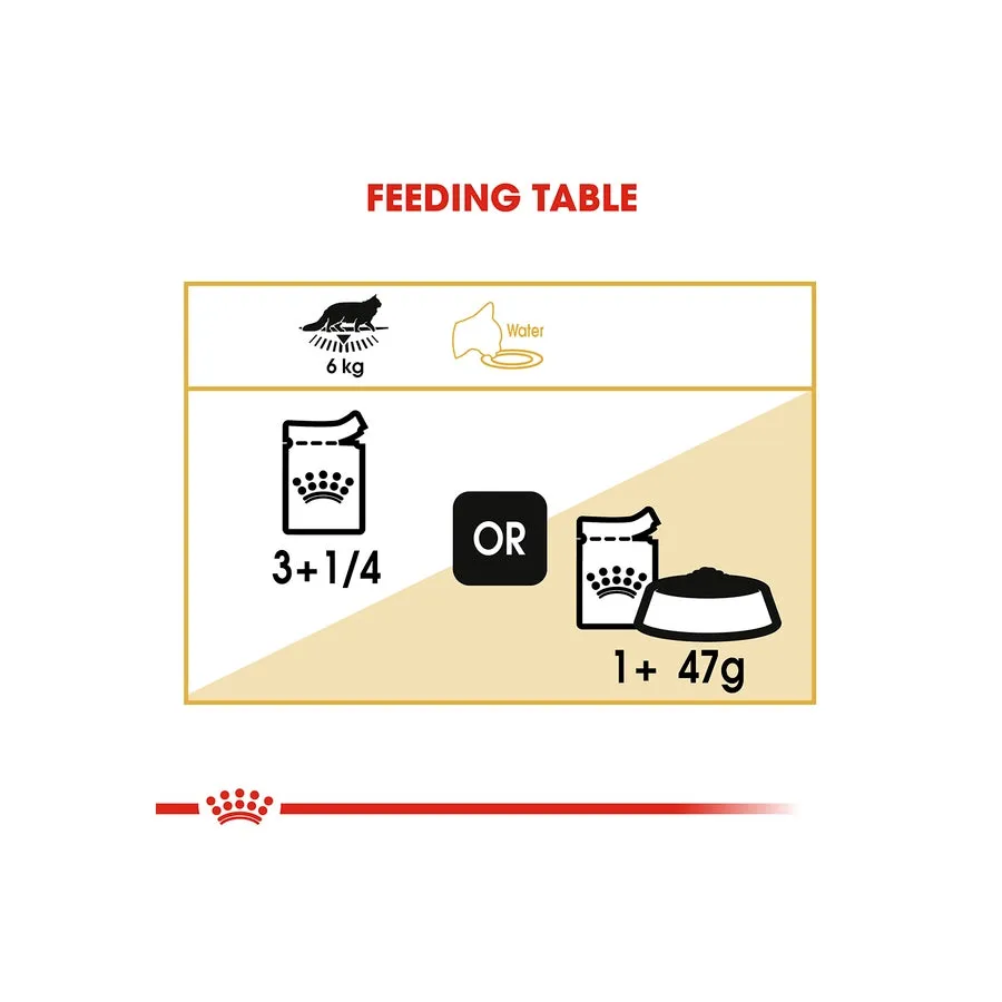 Royal Canin Maine Coon Gravy Adult Wet Cat Food 12 X 85g