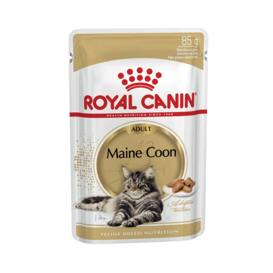 Royal Canin Maine Coon Gravy Adult Wet Cat Food 12 X 85g