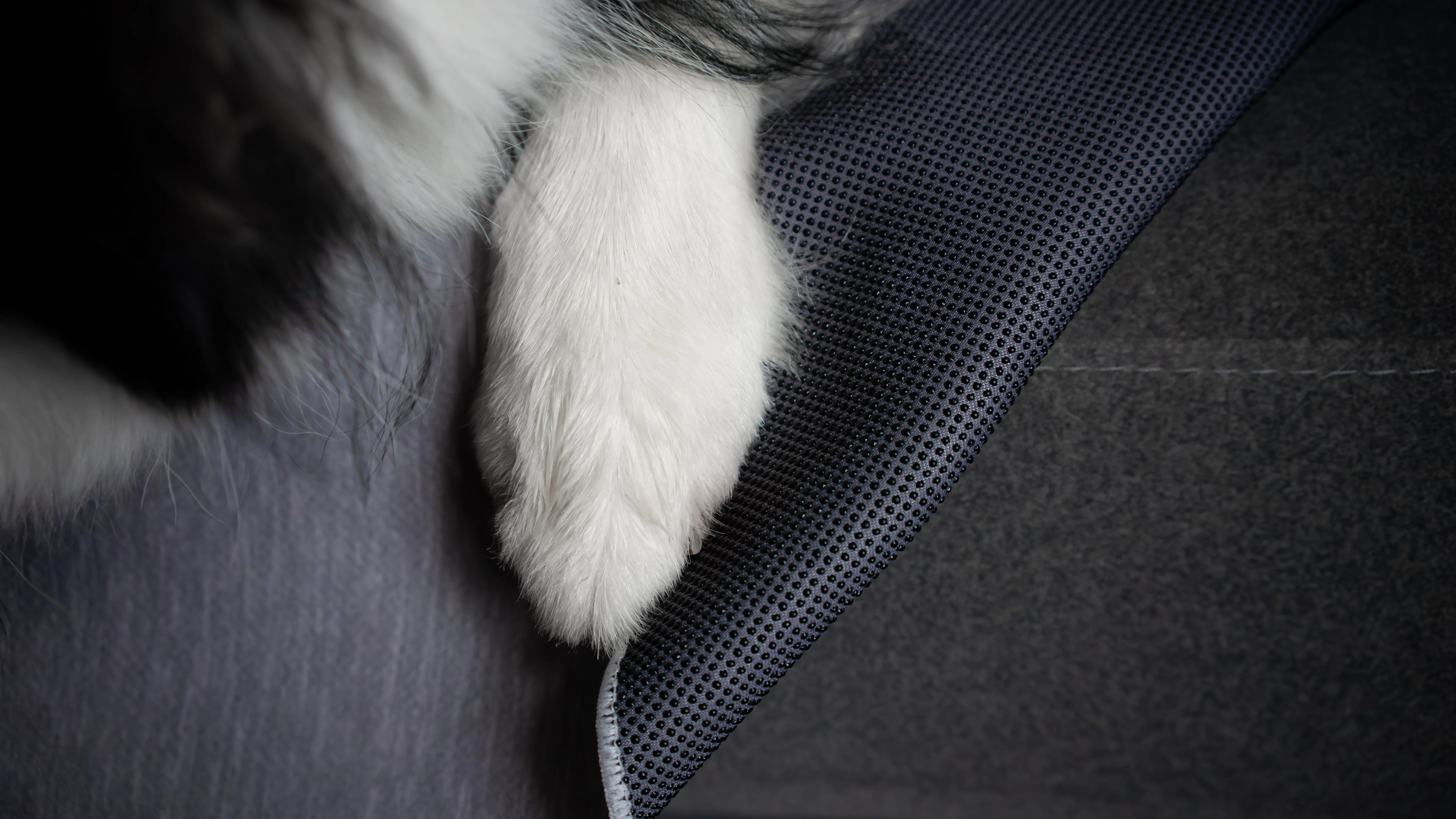 Ultra-Absorbent Waterproof Mat (Anti-slip Backing)