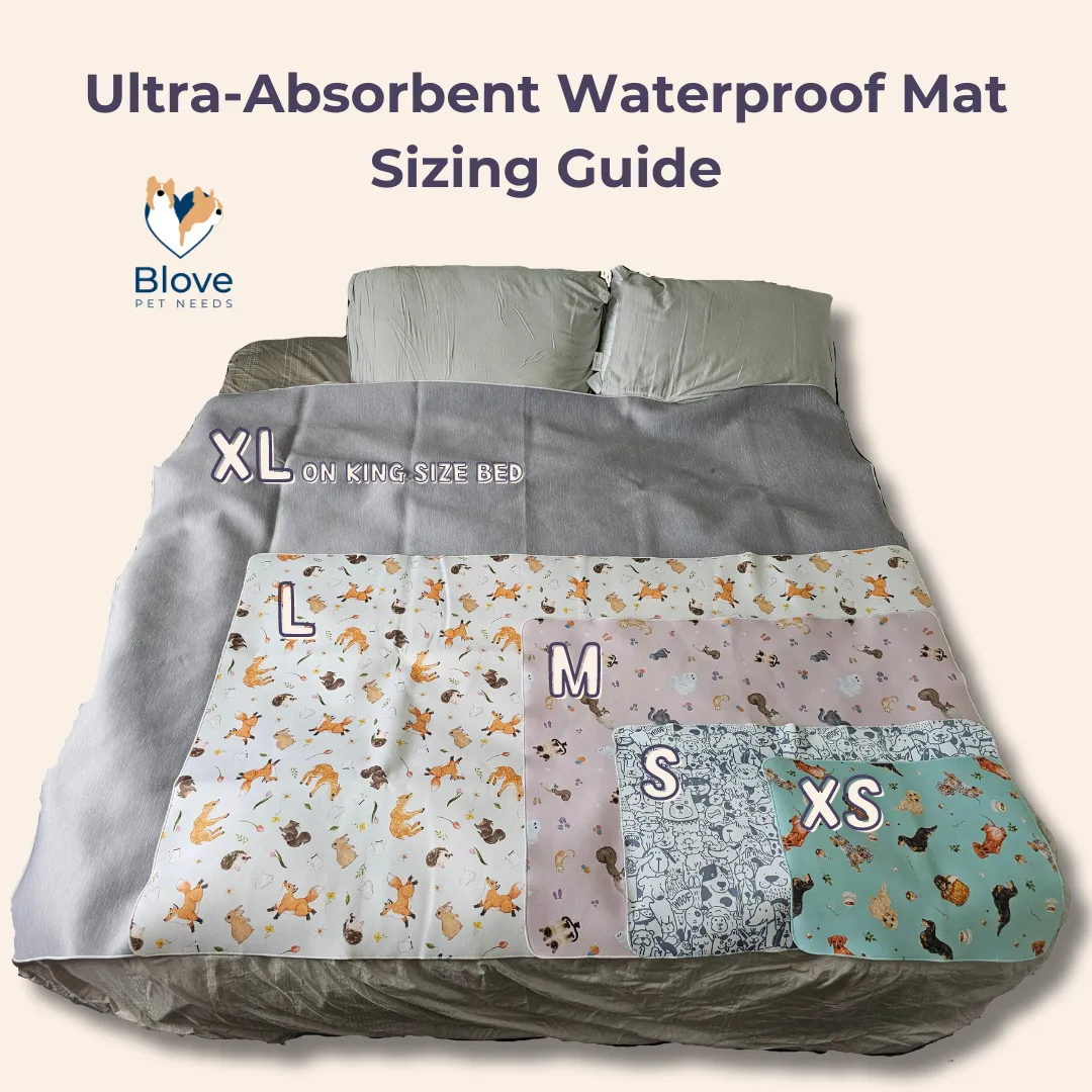 Ultra-Absorbent Waterproof Mat (Anti-slip Backing)