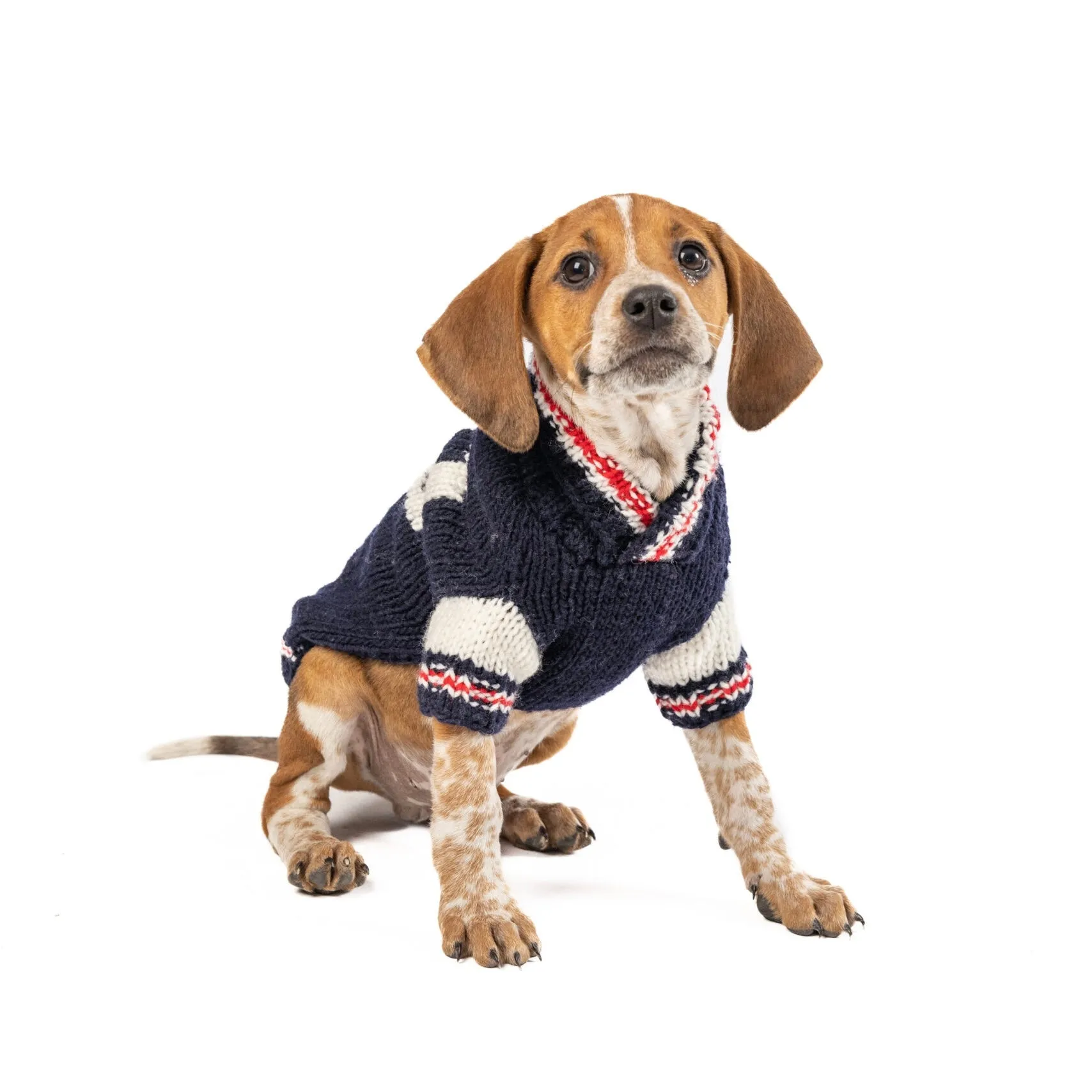 varsity knit sweater