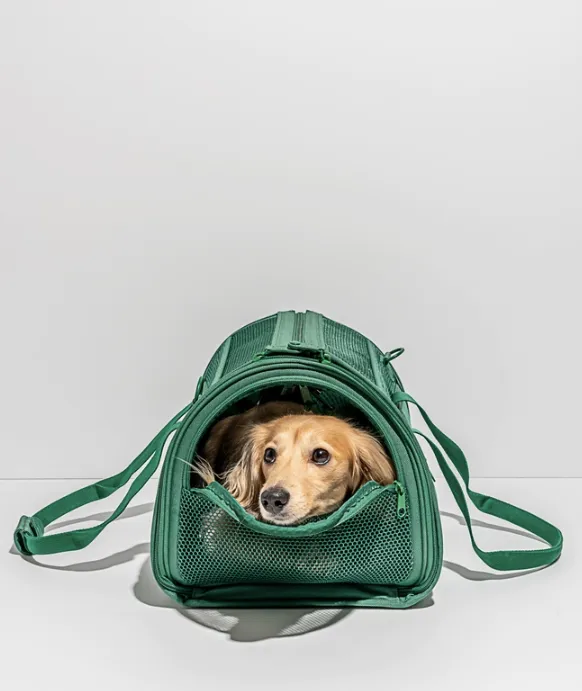 Wild One Travel Tsa Compliant Pet Dog Carrier - Spruce