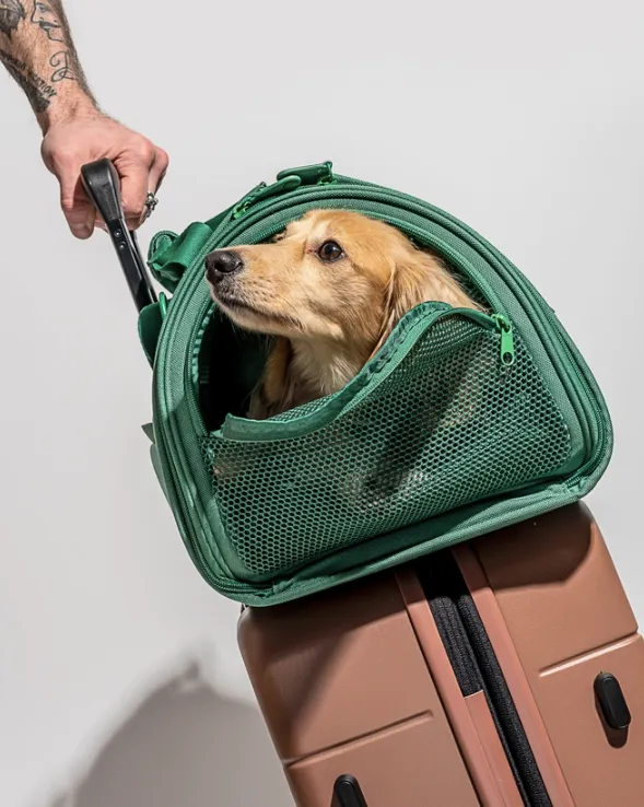Wild One Travel Tsa Compliant Pet Dog Carrier - Spruce