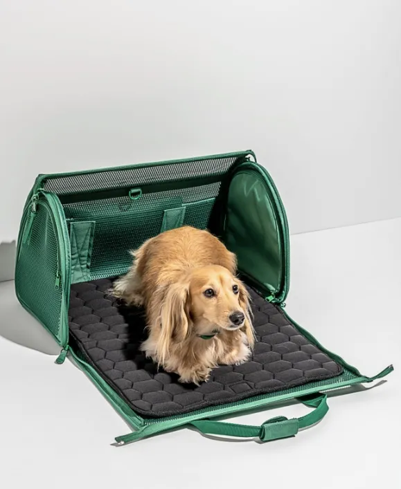 Wild One Travel Tsa Compliant Pet Dog Carrier - Spruce