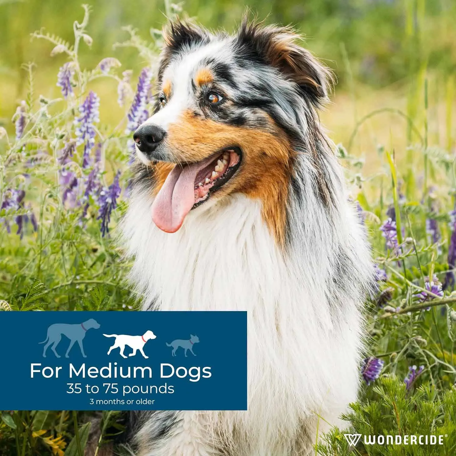 Wondercide Flea & Tick Spot On for Dogs, Peppermint
