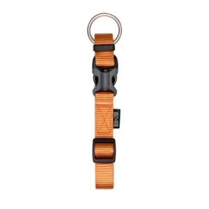 Zeus Adjustable Nylon Dog Collar - Tangerine - Large - 2 cm x 36 cm-55 cm (3-4in x 14in-22in)