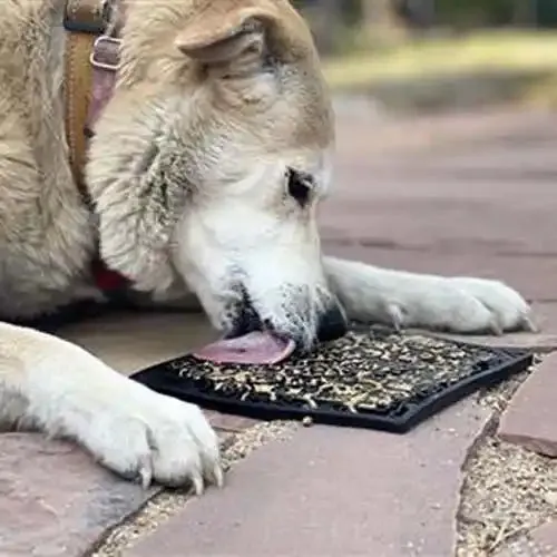 Zombie Design Enrichment Lick Mat